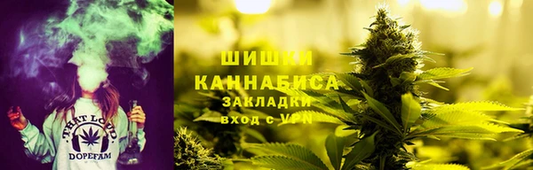 индика Баксан