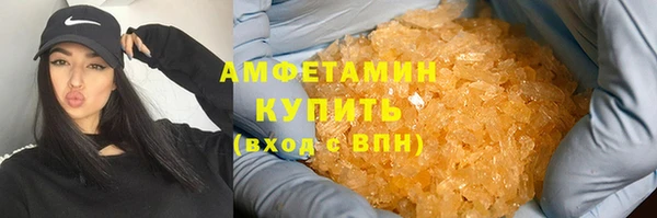 индика Баксан