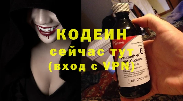 индика Баксан