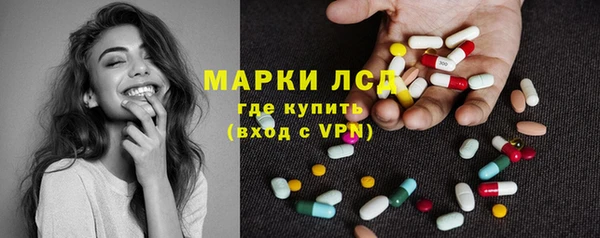 индика Баксан