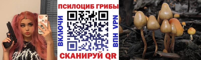 Галлюциногенные грибы Magic Shrooms  Опочка 